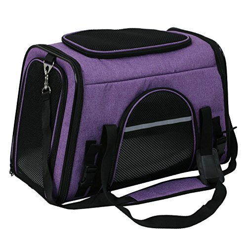 dogtraincollar2's tweet photo. X-ZONE PET Airline Approved Pet Carriers,Comes with Fleece Pads Soft Sided Pet Carrier for Dog &amp; Cat (Large, Dark Purple) Review https://t.co/GBmRPbRALk https://t.co/Dn3XEwLulu