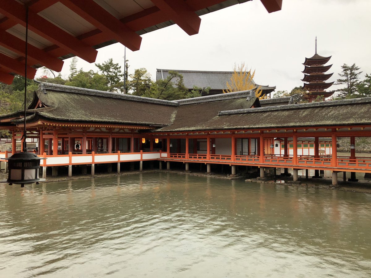 前節の平和島では1号艇でフライングしてしまい、買ってくれていた方、関係者の方々に迷惑をかけてしまいました。
ごめんなさい。

初宮島行ってきます⛩