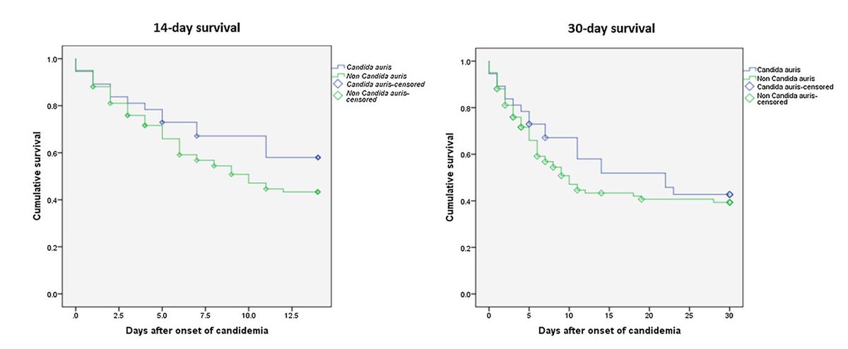 15/ #IDDailyPearl -  #auris- lots of resistance...but does this confer increased mortality? Several studies show NO increased mortality when compared to non-candida auris candidemia, including one published today! @CDCgov released description below! https://academic.oup.com/mmy/advance-article-abstract/doi/10.1093/mmy/myz112/5644126?redirectedFrom=PDF