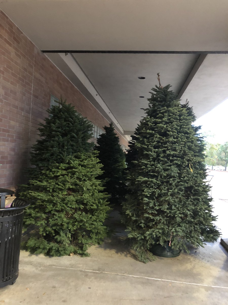 AwesomismMom's tweet photo. The #Woodlands @kroger has beautiful live #ChristmasTree2019 #LiveTrees 🎄🎄 https://t.co/czbPbvAX0C