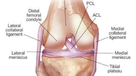 Mayo Clinic Orthopedic Surgery tweet media