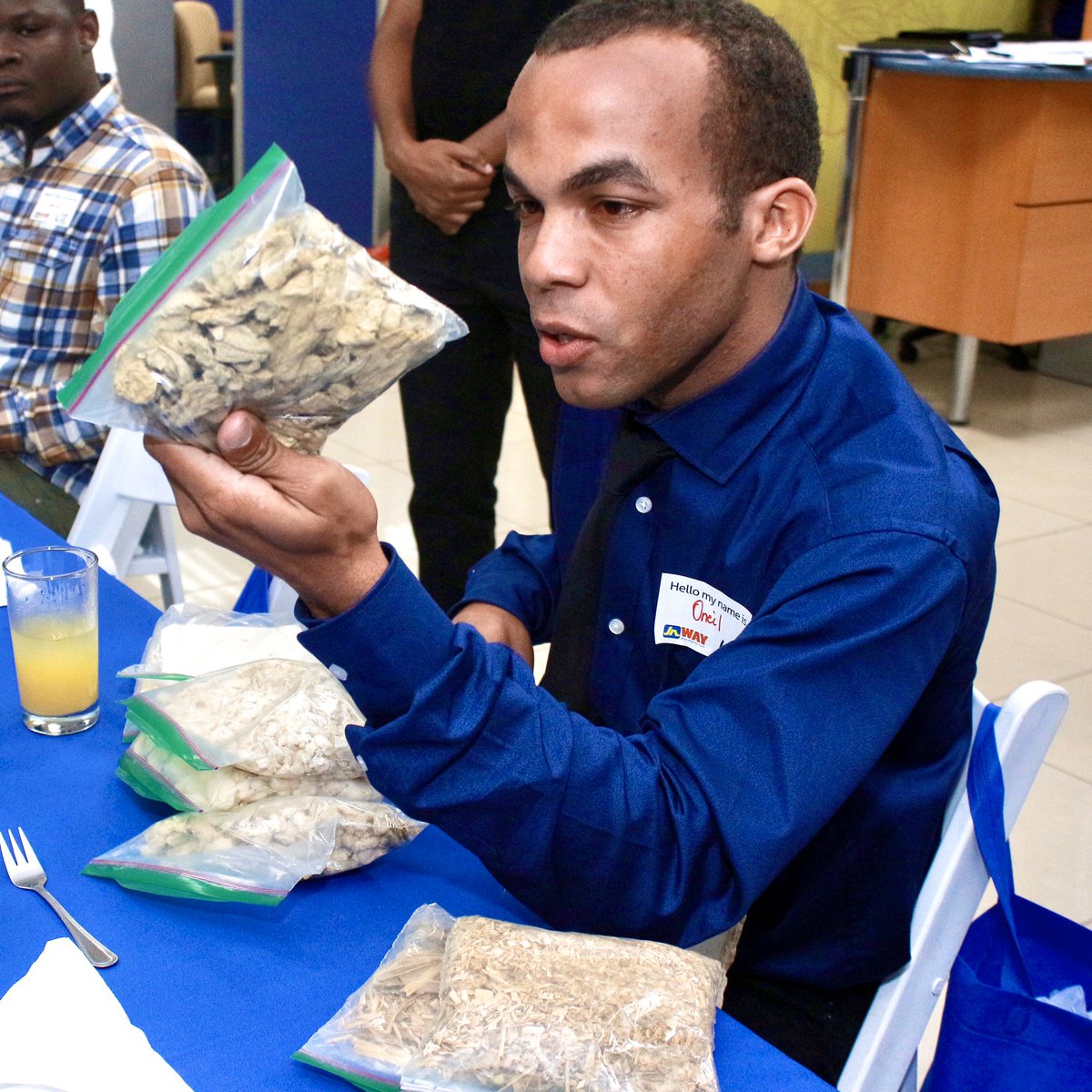 jnbanklimited's tweet photo. Meet OโNeil Chin. This young great mind is in the process of developing a business that converts grass into any form of paper ๐งป๐ , wow ๐๐พ
#LitYouthJA #FindAWay #JNWay https://t.co/8T1CaIynxd