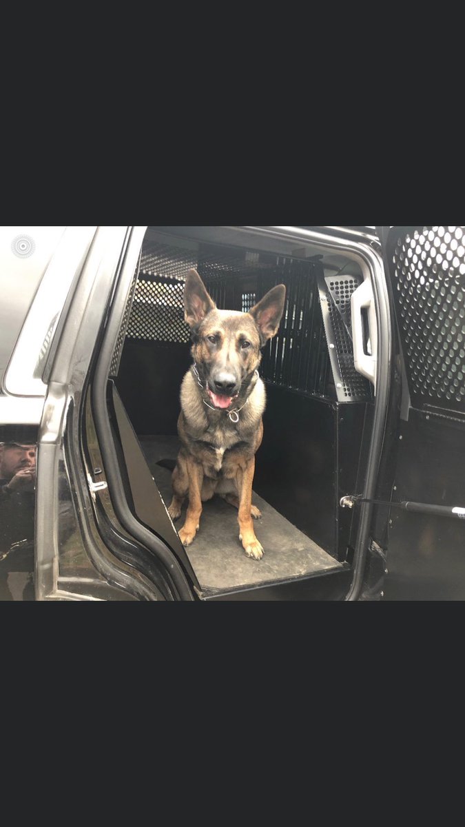 Binghamton Police tweet media