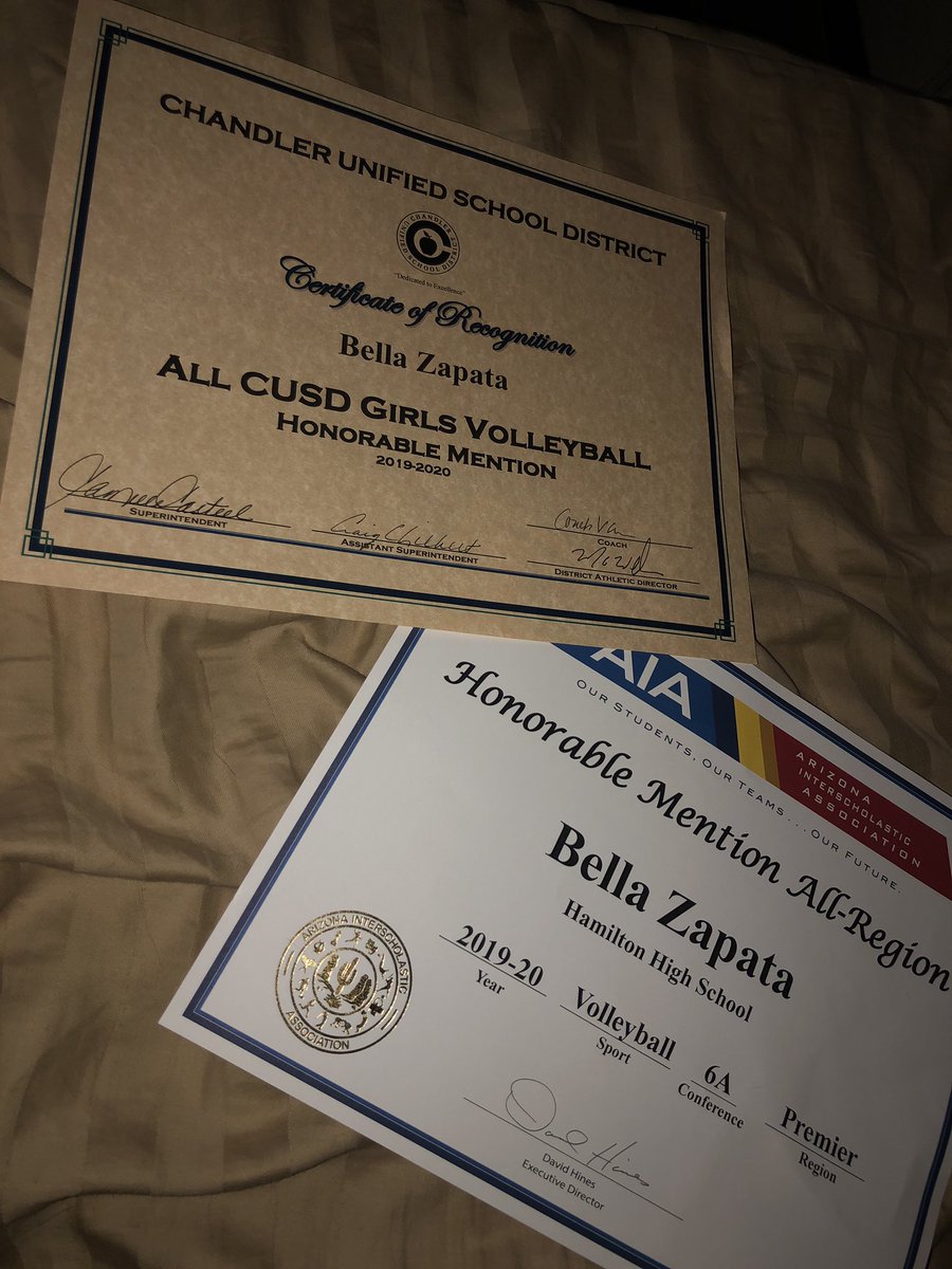 Hamilton Volleyball tweet media
