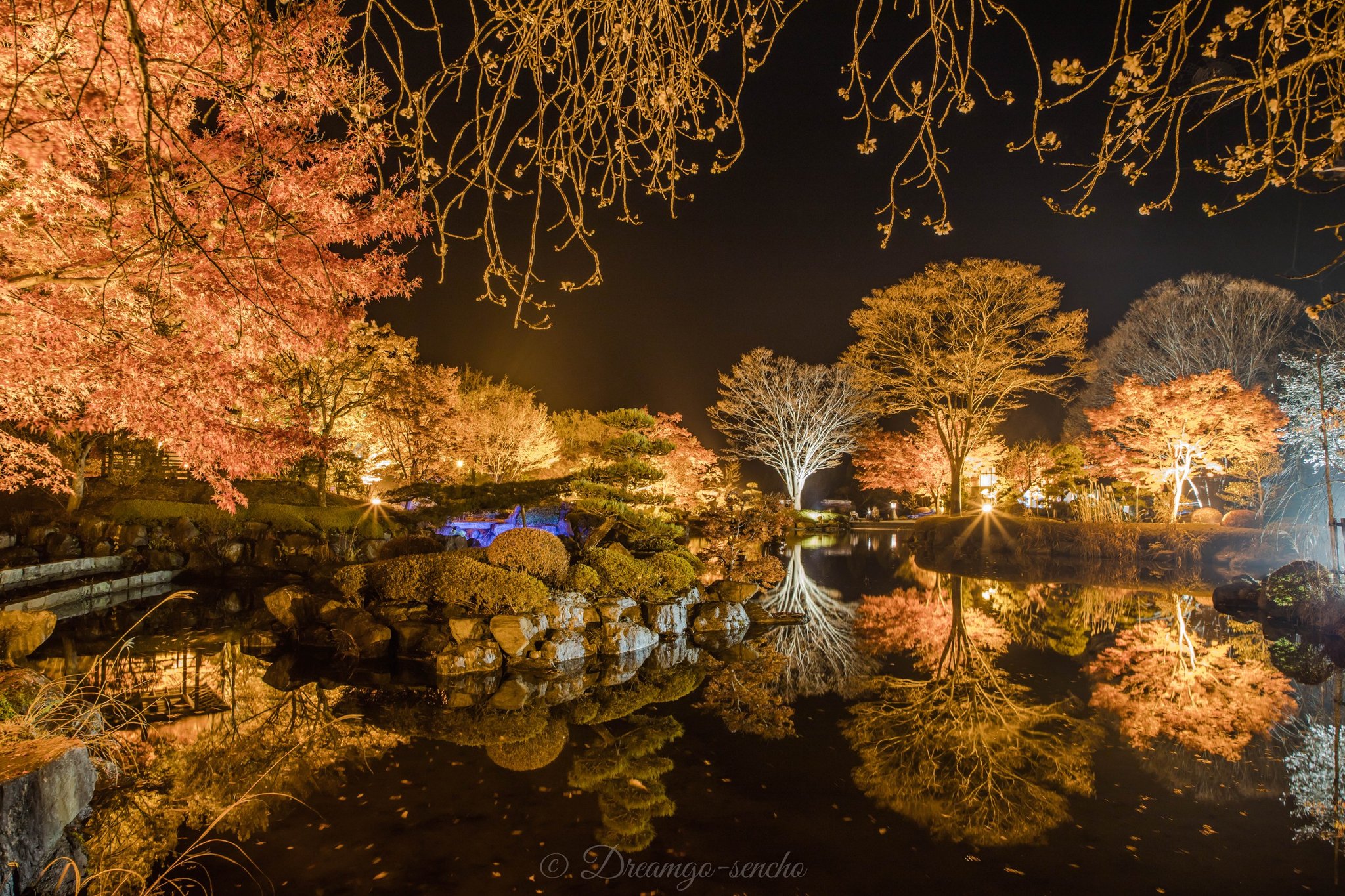 桜山公園 Twitter Search Twitter