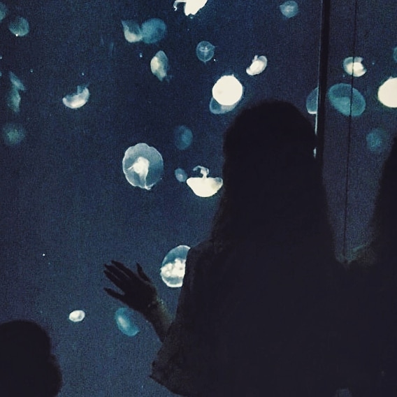 Princessawhale1's tweet photo. sea cosmos 💜 🌊 💦

#me #aquarium #japan #osaka #memories https://t.co/GfWrU8ohD2