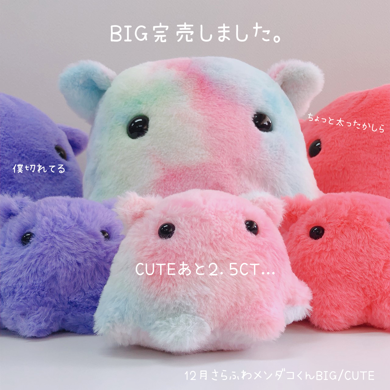 日本オート玩具 公式 新商品 さらふわメンダコくんbig Cute 来月の新商品 3種の内残す1種公開 っ カラフルメンダコくん でしたっっ Big完売御礼店頭でみつけてメンメン Cute残りわずか メンダコ さらふわ 水族館 ぬいぐるみ