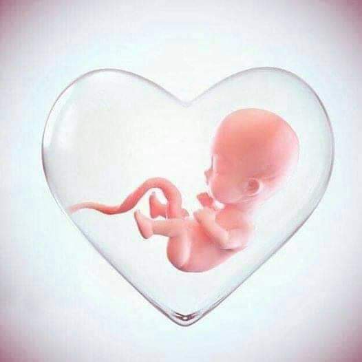 ljmlcpfg's tweet photo. Saber que #nuestrobb está bien es de las mejores alegrías de mi vida #controlprenatal #2 y gracias a Dios todo va bien
#unpedacitonuestro #ansiosos2020 te amo #MNB #JluisP.... https://t.co/aDjUDaxIsa