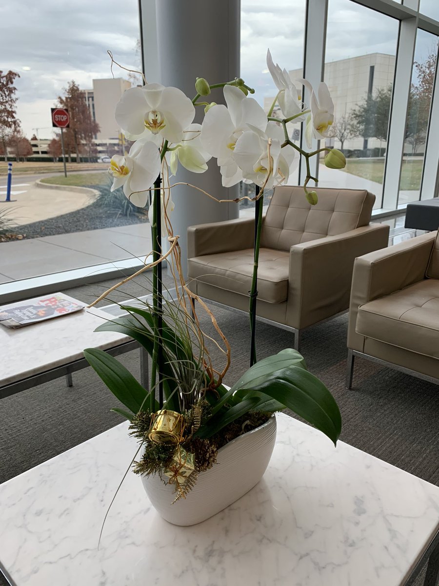 AChisomFloral's tweet photo. Who doesn’t love a beautiful #orchid? #anthonychisomfloral #flowers #floraldesign #dallasfloraldesigner https://t.co/9yq7fqmNQD