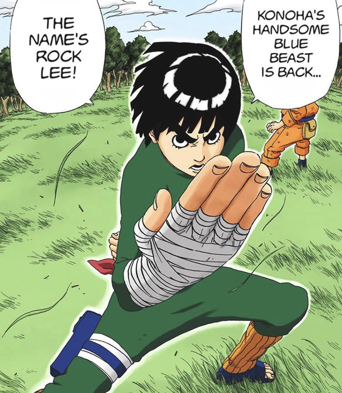 Happy bday rock lee!! 