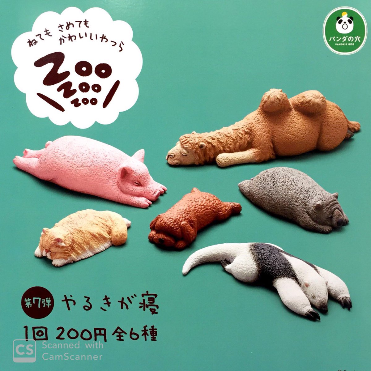 ドリームカプセル イオンモール筑紫野 本日入荷情報 本日もたくさん新商品入荷してます すみっコぐらしマスコットうでどけい Zoozoozooやるきが寝 腕時計の存在感すごい ˊ W ˋ すみっコぐらし 時計 でかめ Zoo パンダの穴 やるきがねぇ