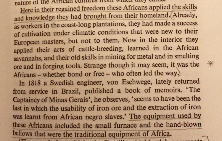 DabSquad_Slank's tweet photo. Europeans enslaved Africans b/c they were familiar w/ agriculture in similar climates. Many enslaved Africans in Brazil brought techniques like iron smelting &amp; cattle herding from Africa, these weren’t unskilled people who were kidnapped &amp; forced here https://t.co/qbAIPzXGwu