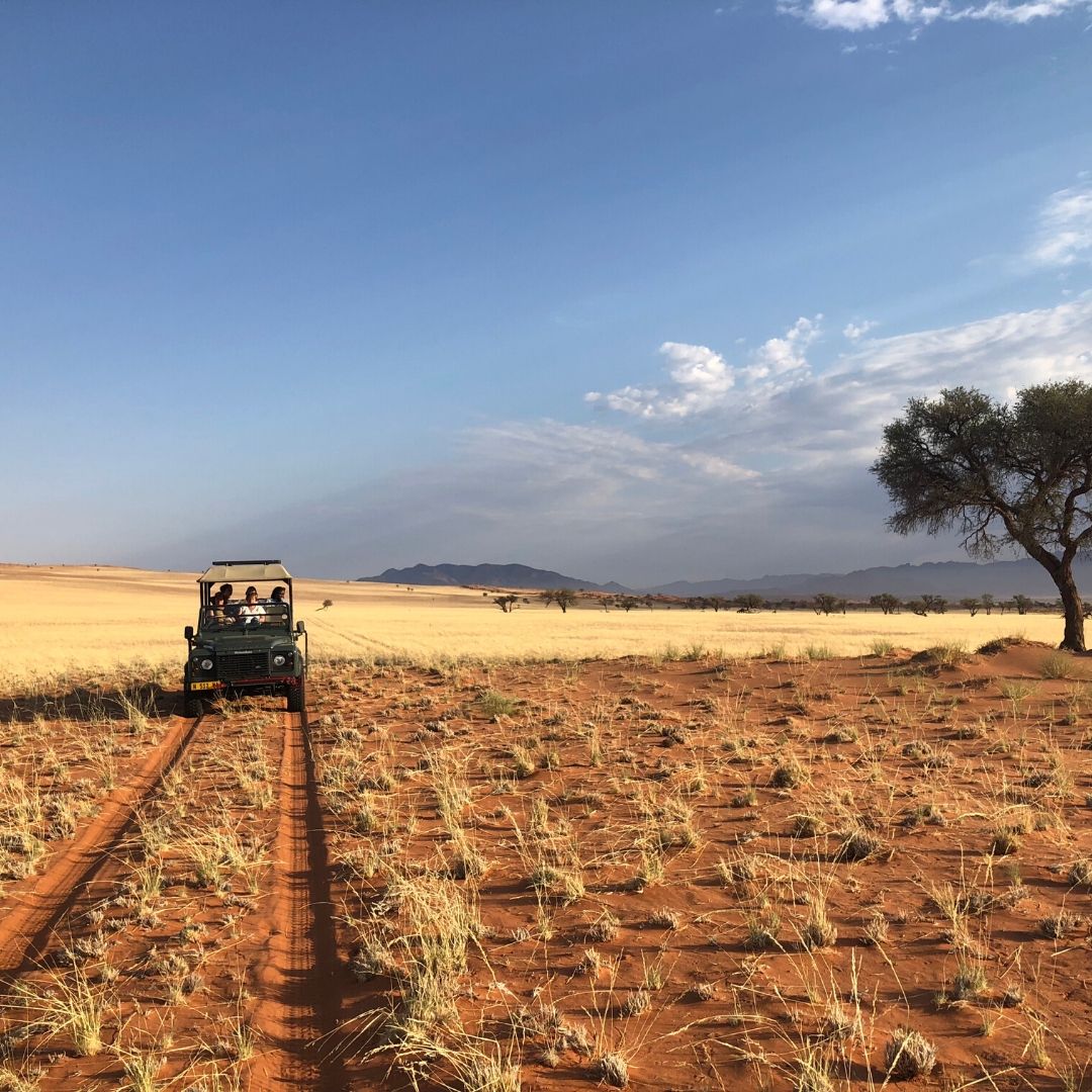 A burnt ochre foreground contrasted with the light yellow of endless grassland, all below the ever-blue skies.

 #OutOfThisWorld #Wolwedans #NamibRand #Namib #NamibDesert #Namibia #Africa #travel #instatravel #traveller #traveler #travelinspo #lux #safari