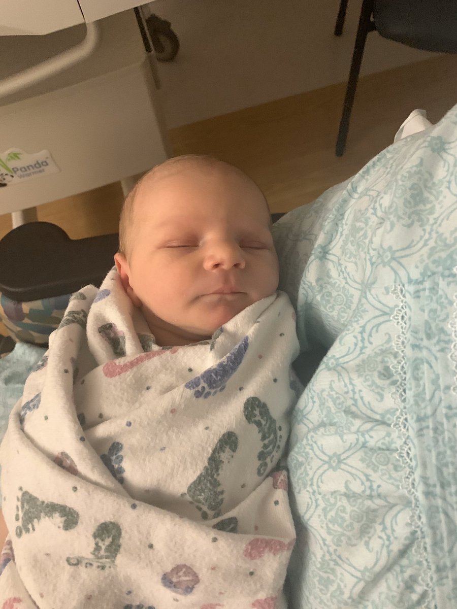 kbear_03's tweet photo. My baby is the cutest baby. https://t.co/1po7NQXZ4P