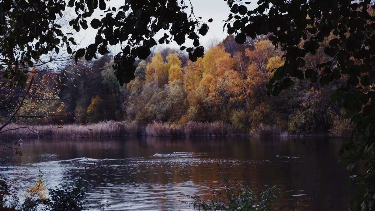 Autumn Vibes 🍂 #jeudiphoto