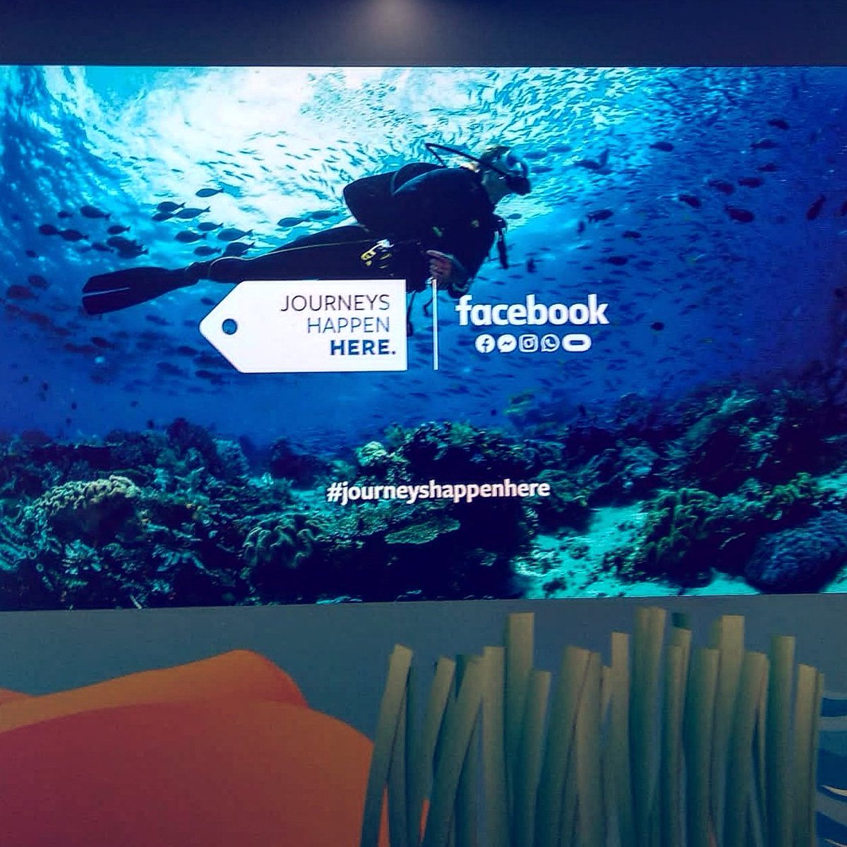Adsmurai's tweet photo. Super ready for this amazing journey, @facebook #travelsummit here we gooo!
#journeyshappenhere #facebooksummit #passionateplayers https://t.co/dFr9ie0f21