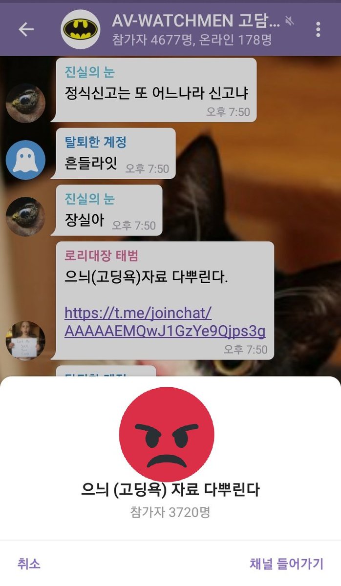 남혜리(Hyeri Nam)💰📈🦅 on X: ※링크 중 좌측의 경우 참여자들에게만 내용이 보이며, 신고하려면 직접 채널에 입장해야  합니다. 누가 출입했는지 보이지 않습니다. ※우측처럼 들어가지 않아도 내용이 보이는 공개 채널은 들어오고 나간 흔적이 다른 사람들에게