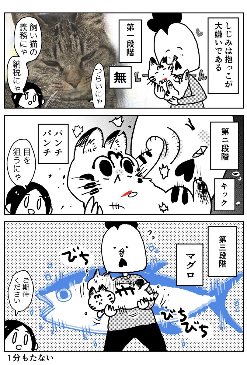 天道グミ En Twitter 猫飼いました62 天道グミ En Twitter 猫飼いました62