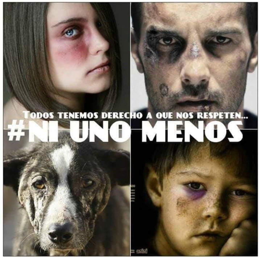 9Daniela19's tweet photo. Porfavor eduquemos nuestro alrededor y próximas generaciones https://t.co/ZJTedmvt1E