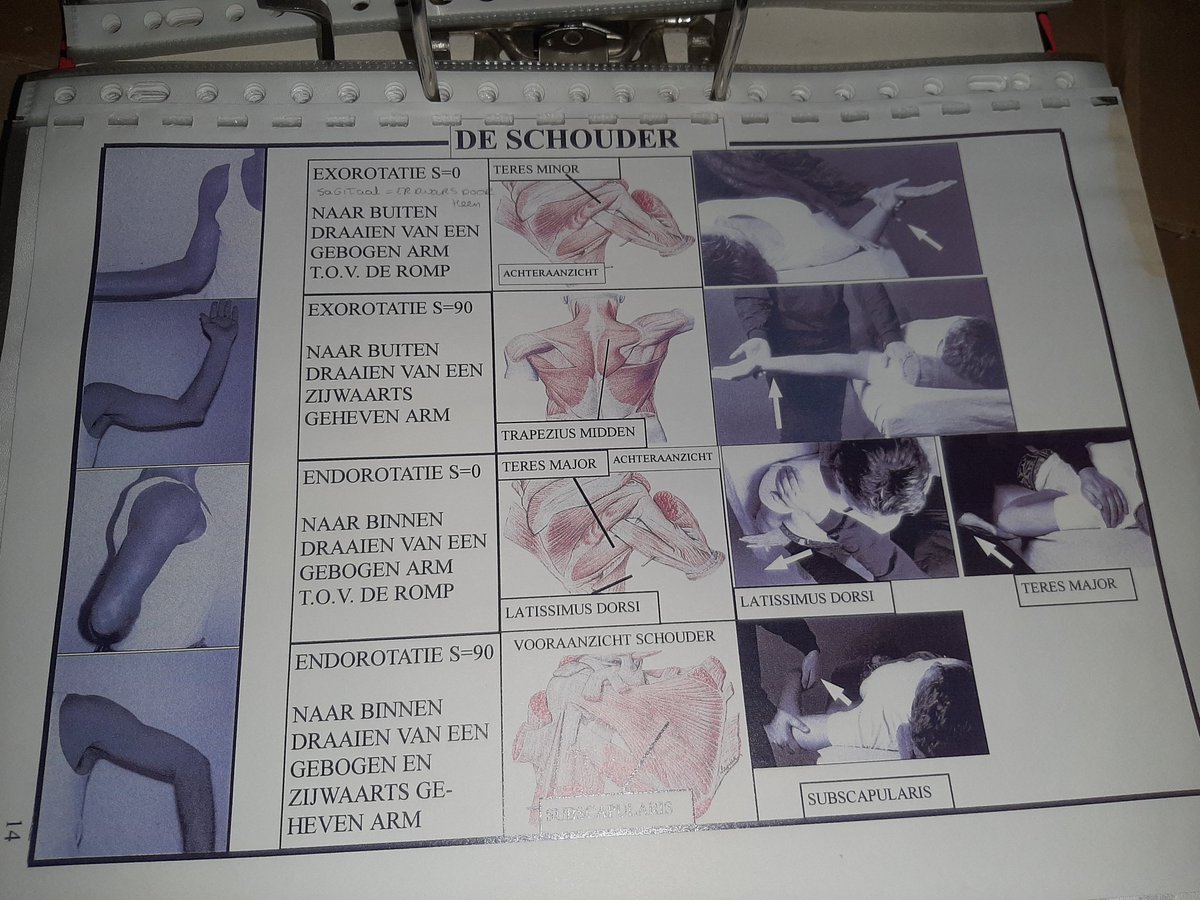 DeRavissante's tweet image. Wat weg leggen op zolder en nu in dozen mijn halve leven tegen komen...wat ik vergeten was...

#Touchforhealth 1 t/m 4 en veeeeeel extra cursussen en workshops gedaan.