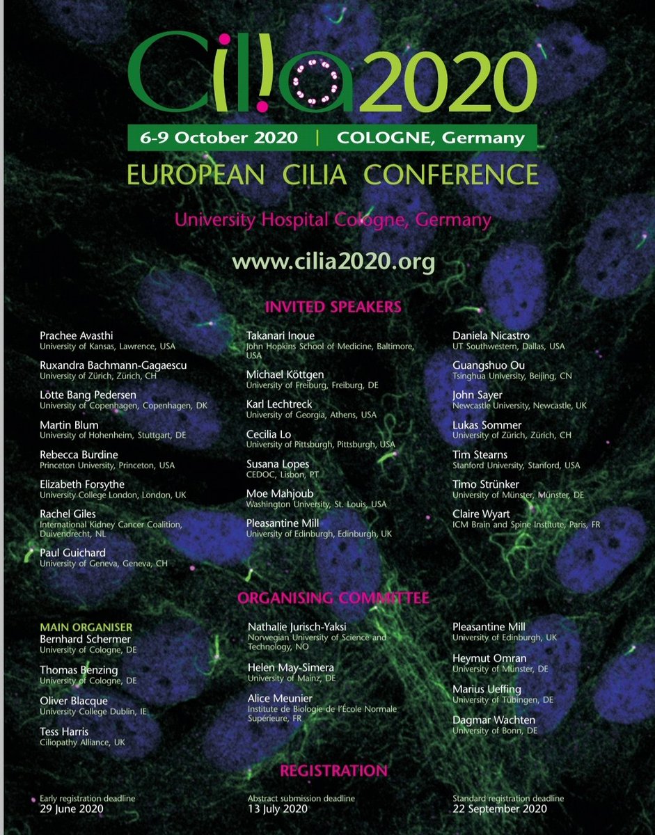 Reza Esmaillie (@resmaill) on Twitter photo Visit us in Cologne and register for Cilia 2020! <a href="/UniCologne/">Universität zu Köln</a> <a href="/UKKoeln/">Uniklinik Köln</a> <a href="/CECAD_/">CECAD Cologne</a> #Cologne #Cilia2020 Visit us in Cologne and register for Cilia 2020! <a href="/UniCologne/">Universität zu Köln</a> <a href="/UKKoeln/">Uniklinik Köln</a> <a href="/CECAD_/">CECAD Cologne</a> #Cologne #Cilia2020
