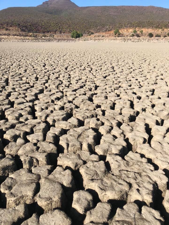 Please RT for awareness: The drought in the Eastern Cape needs more attention. Towns have run dry, farmers are shutting down operations and retrenching staff. The EC Govt has not released any drought relief funding and has no plan in place. #DayZero