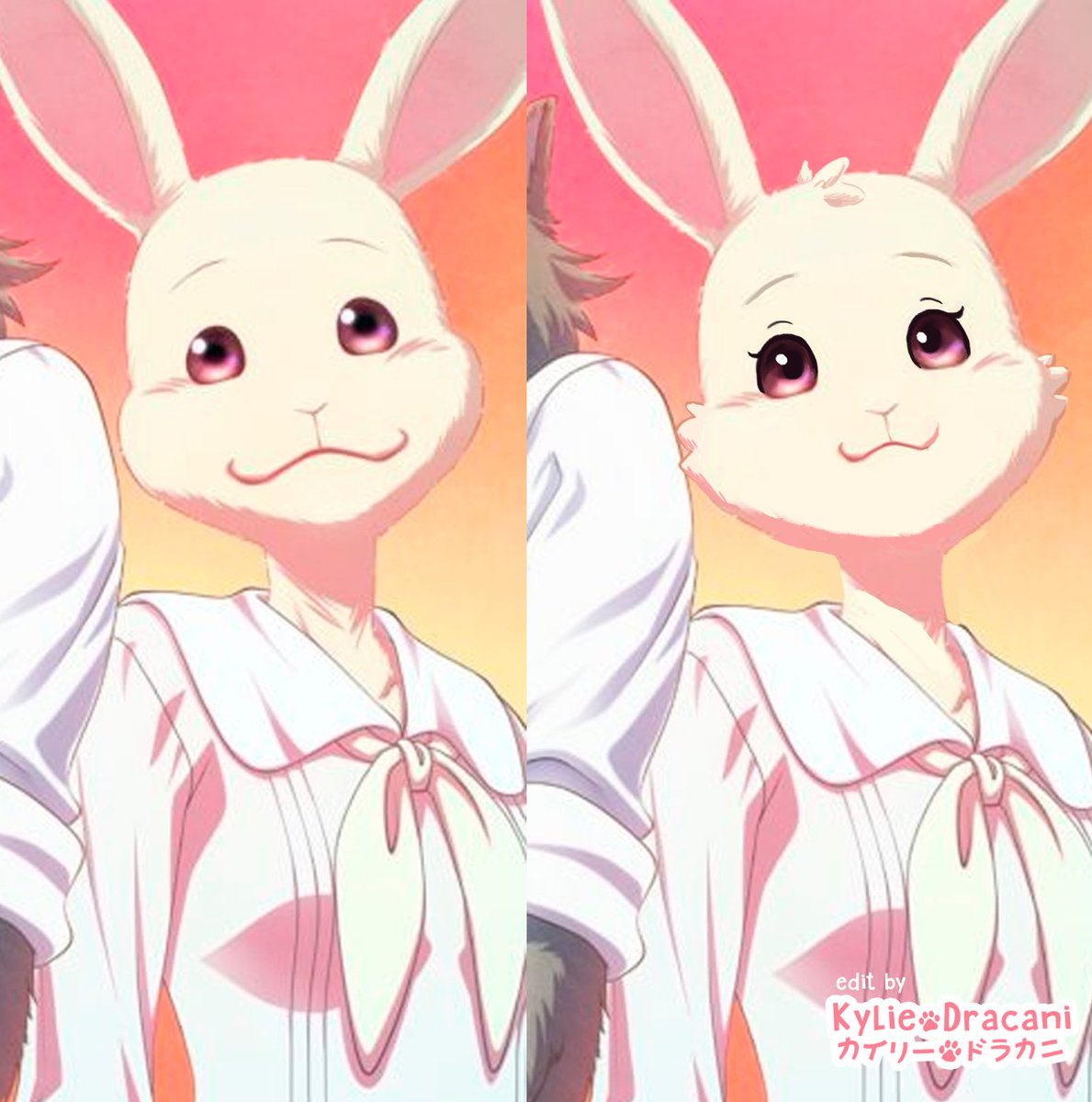 Get Hashtag Harubeastars Di Twitter Desktop Wallpaper Free Wallpaper Hashtag Harubeastars Di Twitter Desktop Wallpaper Free