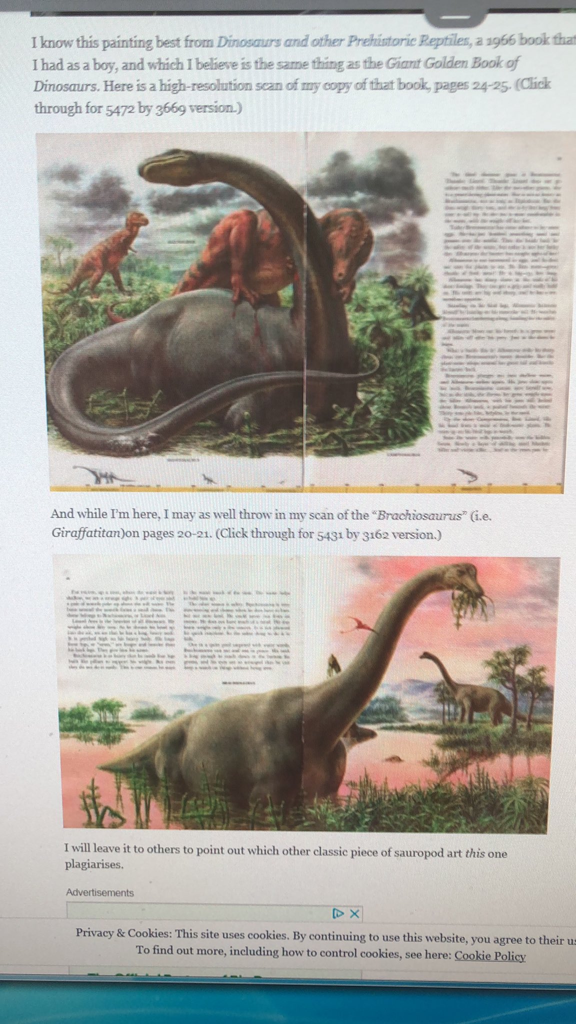 Dinosaurs: Paint and Find [Book]