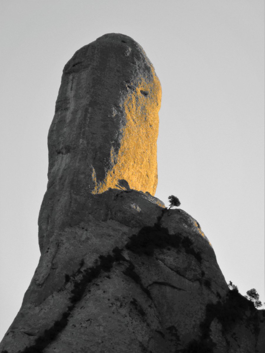 frederic fosalba julià tweet media