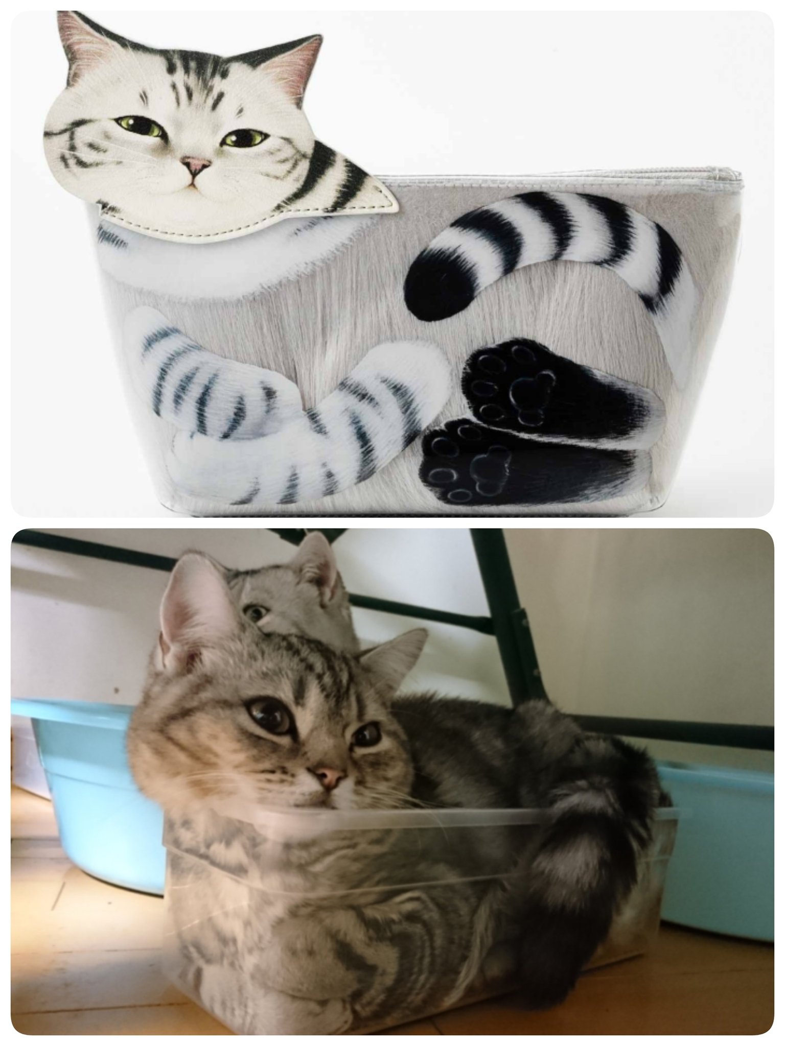 フェリシモ 猫部 Rt Bad Boys1021 うちの みかんちゃん が フェリシモ猫部 さんの 猫は液体ポーチ の モデルになりましたฅ W ฅﾆｬﾆｬｰﾝ フェリシモ猫部さん ありがとうございます ˊᵕˋ 猫は液体ポーチ よろしくお願いしますm M H