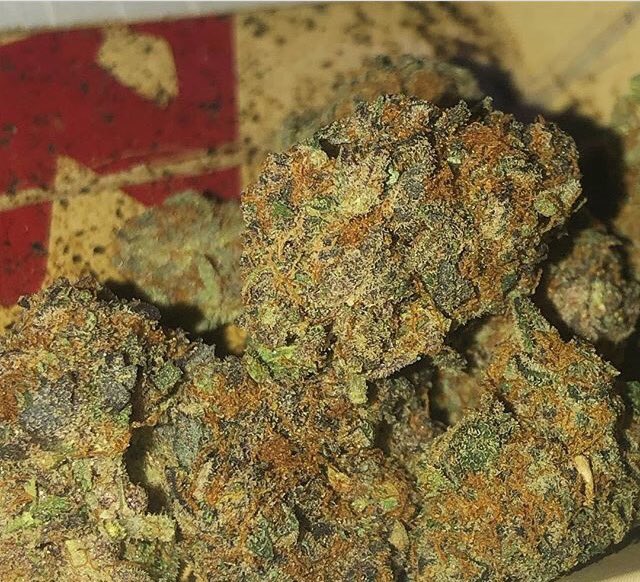 jameskusi12's tweet photo. #marijuana #cannabis #weed #cannabiscommunity #thc #weedporn #cbd #weedstagram #hightimes #maryjane #ganja #stoner #cannabisculture #kush #highlife #indica #sativa #medicalmarijuana #hemp #smokeweedeveryday #life #dank #smoke #dabs #marijuanagrowers #growyourown #high #pot #bhfyp https://t.co/9Tqi91MsPq