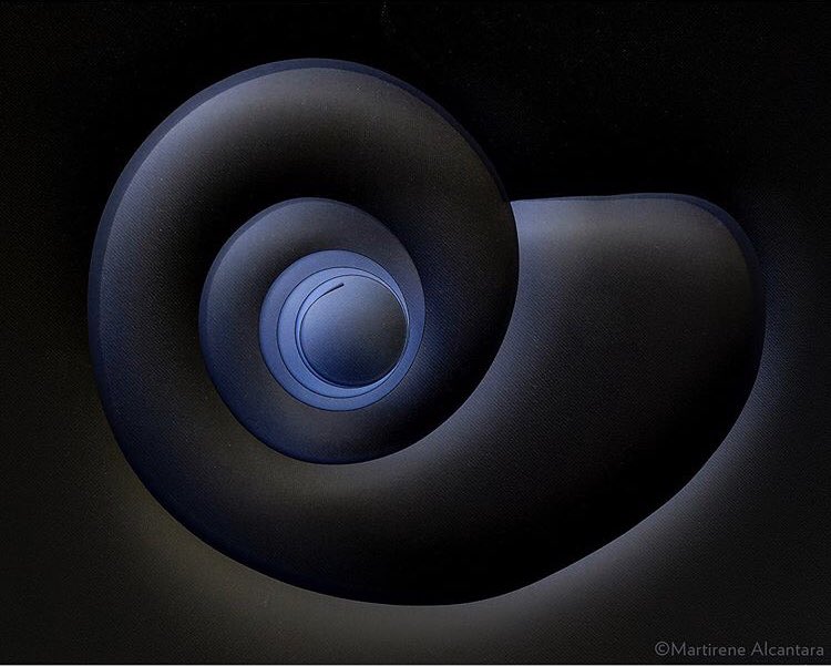NautilusLanza's tweet photo. Thanks to @martirene #artinresidence #travelphotography #traveling #photography #visualartist #MoMaNY #mexico #arquitecture #lanzarote #nautilus #quote :The very essence of the creative is its novelty, and hence we have no standard by which to judge it. #CarlRogers 🙏🏼👩🎤😘 https://t.co/viLioDzpiJ