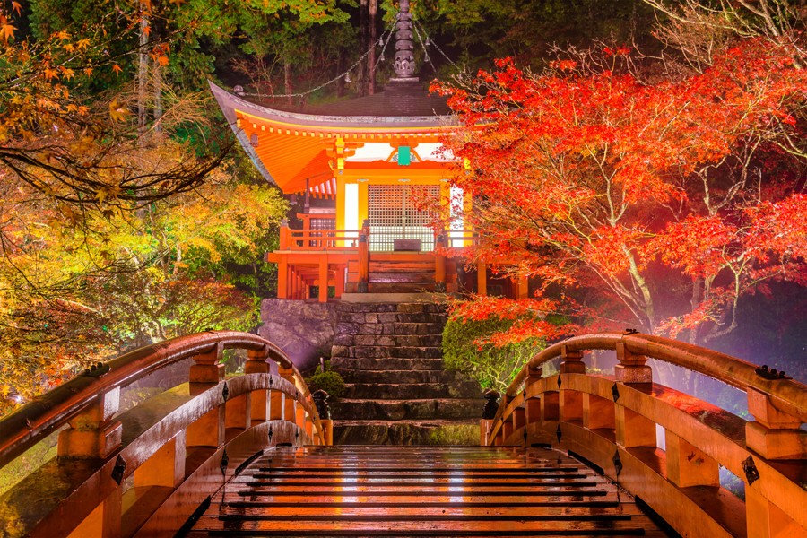 AllJapanTours's tweet photo. Picture from Daigo-ji Temple's autumn leaves illumination festival. 

#Kyoto #Japan #Festival #AutumnLeaves #AutumnPlease #TravelPhotography #ImagesofJapan #KyotoView #Temple #イルミネーション https://t.co/j7KF0endGp