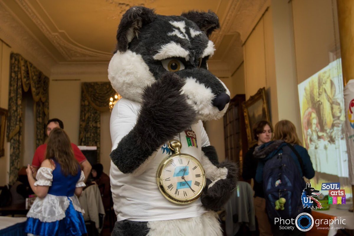 BantshireUni's tweet image. Vote above! ⤴️

Good luck to our finalists @KeeleUniversity Squirrel, @MarjonUni Lion and Lamb, @StirUni Squirrel, and @UL_StudentLife Wolfie!