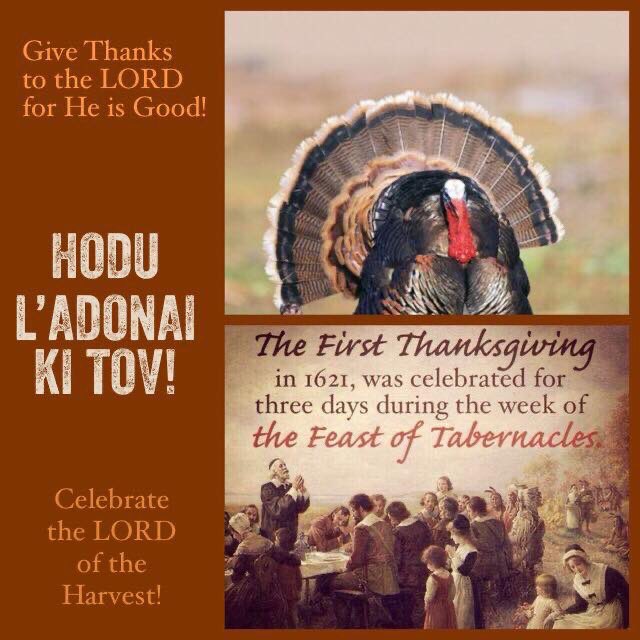 NormaG92040's tweet photo. #HappyThanksgiving #thefirstThanksgiving #Turkey https://t.co/kgqbXMk4Qd