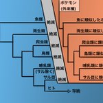 ポケモンの設定は細かく練られていた!？ポケモン以外の動物を見かけない理由