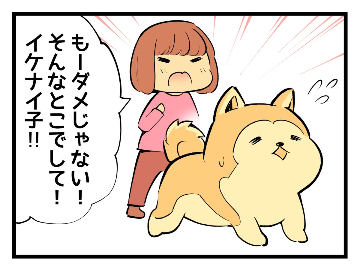 @kenkenpa_dogにて
動物しつけ4コマの作画をしました!
しつけ教室などを行っているアカウントです
誰が何と言おうと漫画の犬は秋田犬です!!!
Instagramで誰でも読めるようなのでよろしくお願いしますhttps://t.co/MZjbgynwzB