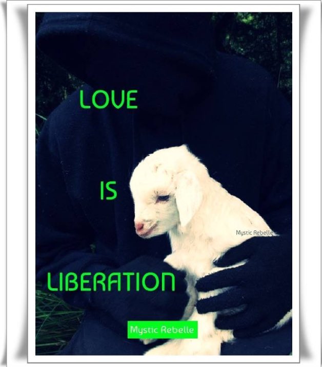 Paesedellanima's tweet photo. #PrimaDiTwitter
credevo che la “gente”
fosse buona.
Twitter è il più grande
Libro del Mondo 🌍
Apre gli occhi e chi ha intùito
imparera’ a fidarsi solo
degli Animali, gli unici che
Dio non ha sbattuto fuori
dal Paradiso Terrestre.
Ci sono poi le Anime Belle
degli Animalisti❤️ https://t.co/6sVDByaHQM