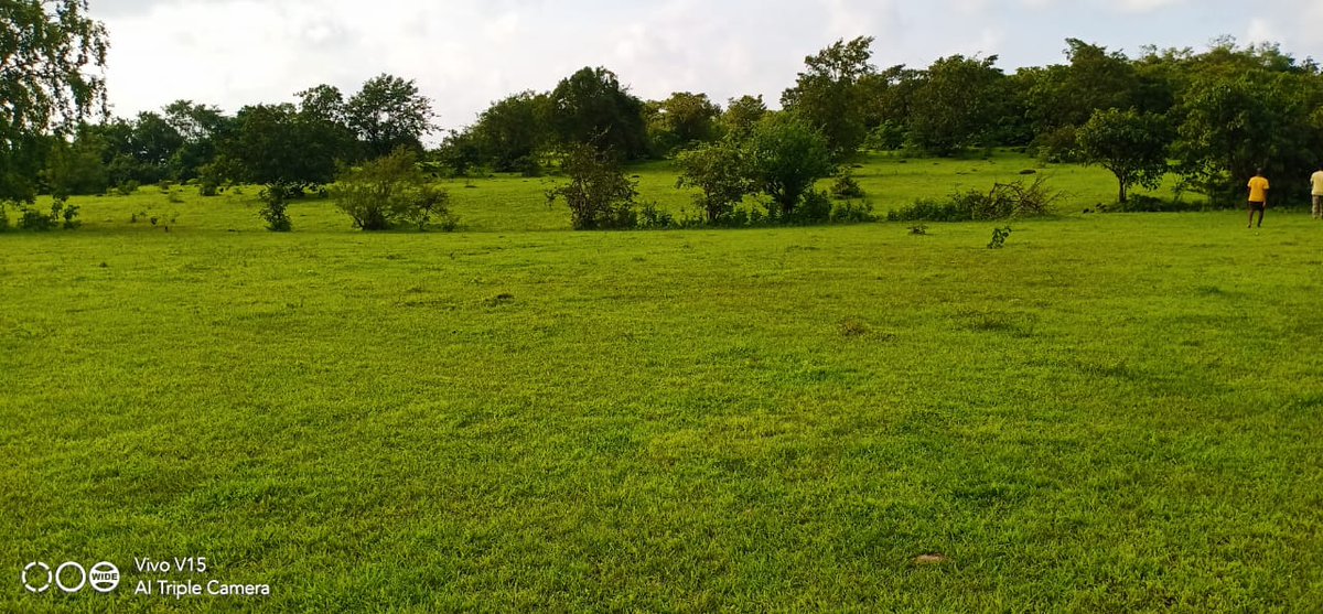 #Farmhouse Plots Sale in Konkan
Area: 1 Acre
Price: <a href="/5/">Reserved</a>,50,000
Place: Konkan, Thane
Few Land are Remaining Call: 9765495495
#farmhouse #AjitPawarForCM #well_done_Pragya #SaveAmaravati