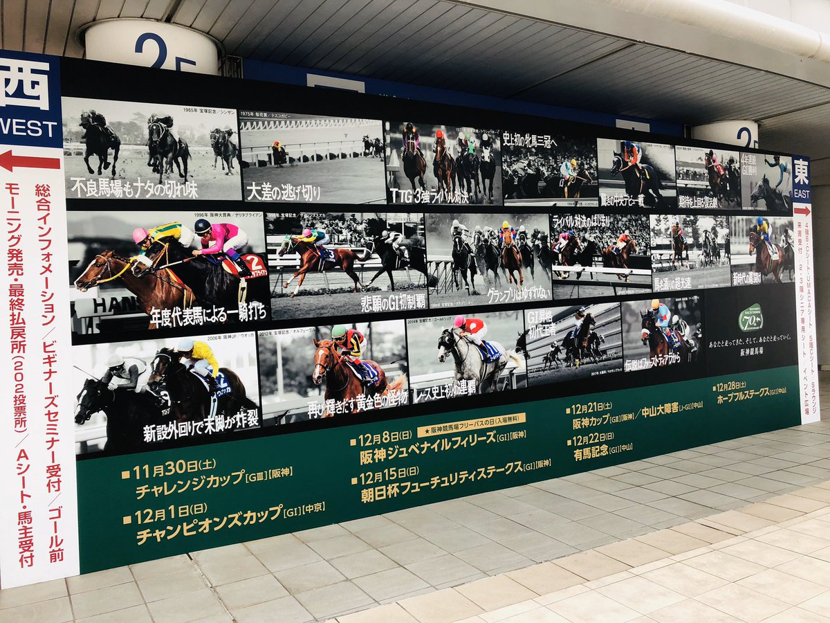 テレビや客席からでは なかなか見られない阪神競馬場 メモリアルイヤーも大詰め Jra 阪神競馬場 Umabi うまび Togetter