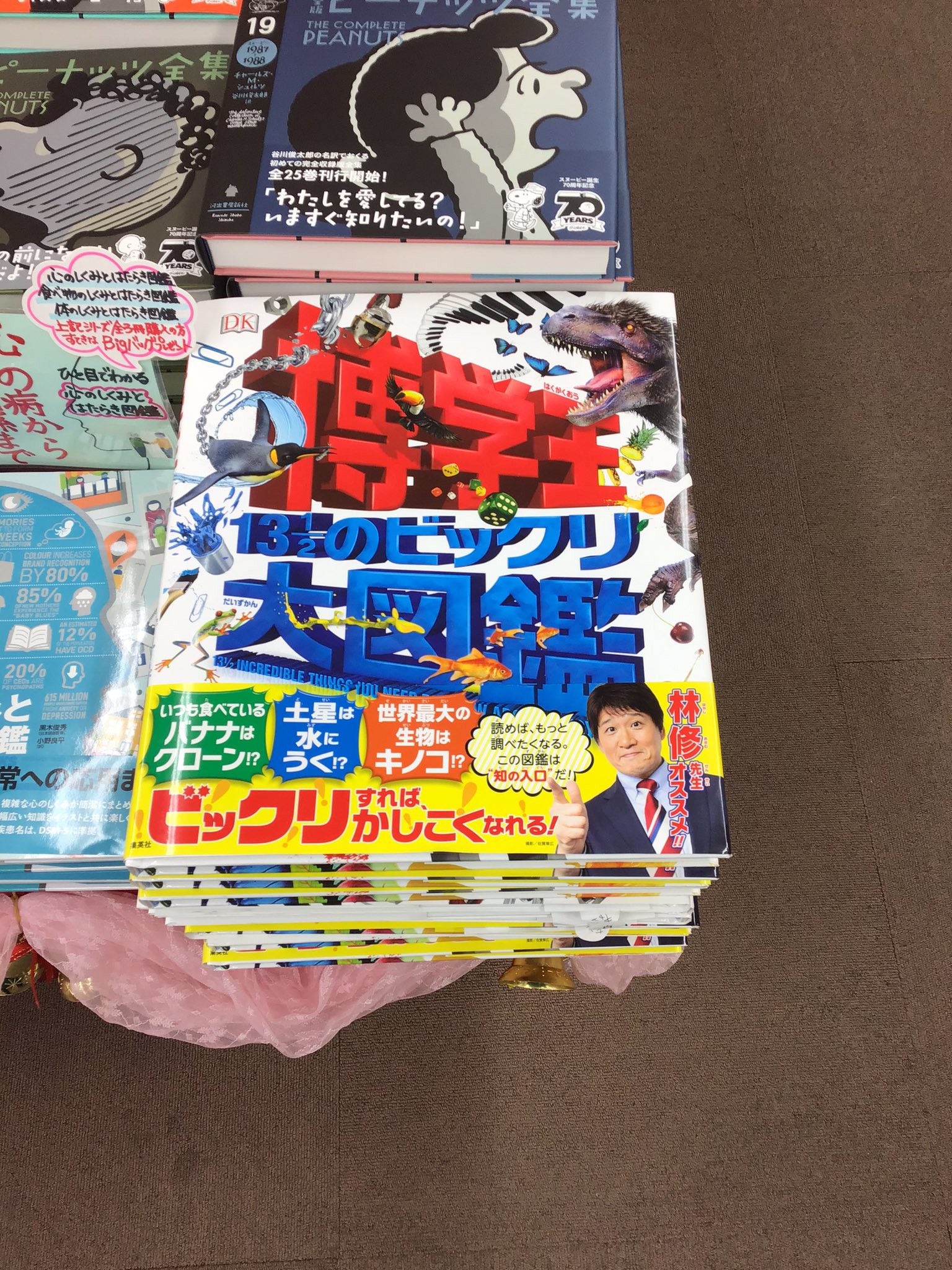 東山堂肴町本店 オススメ商品その2 この本を読めば貴方は博学王になれます 商品名はズバリ 博学王 ネコの喉がゴロゴロ鳴るのは不安解消の為だなんて児童書担当はこの本で初めて知りました 遊び心と驚きに満ちた図鑑です 博学王 集英社