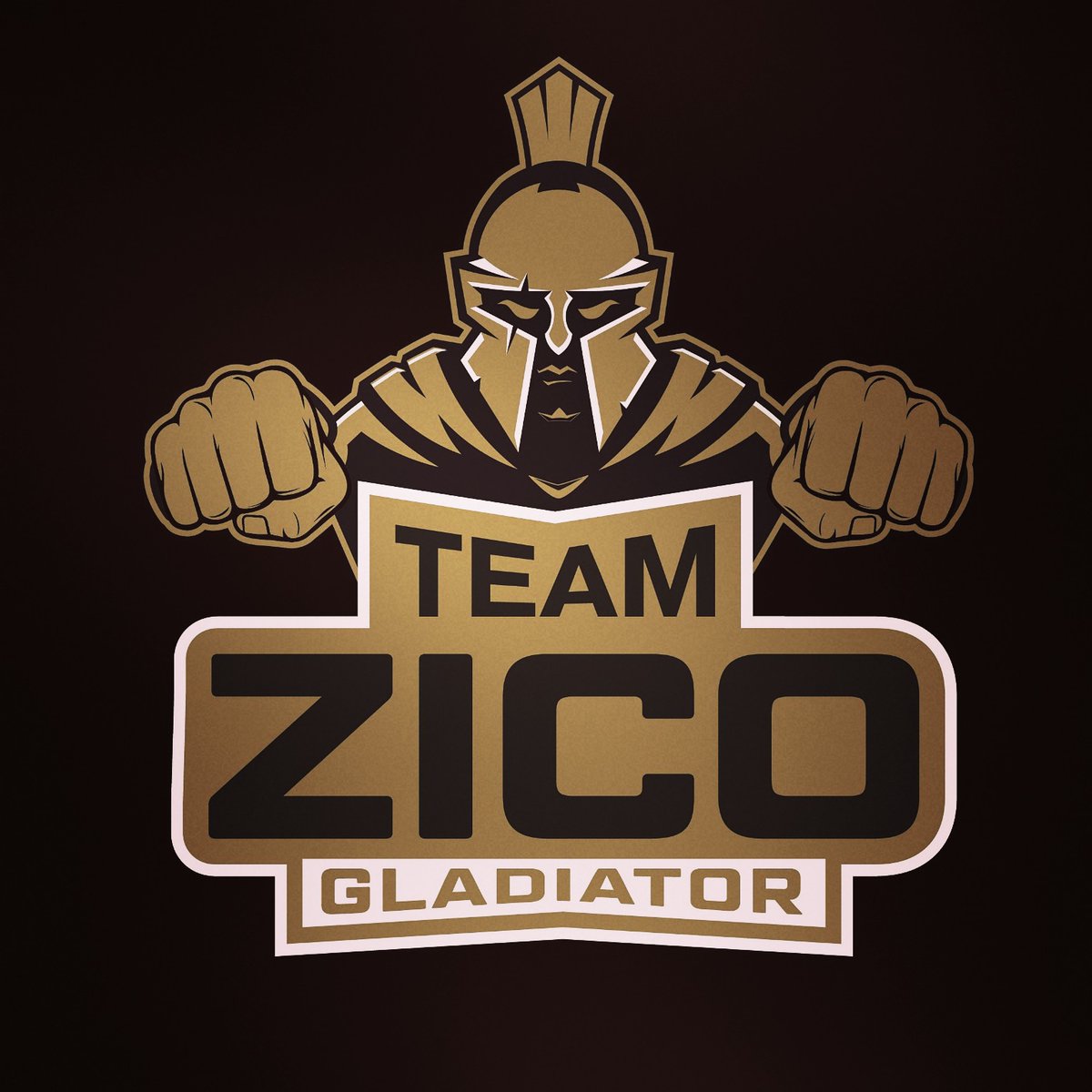 My own LOGO for my boxingoutfits is ready 🔥🔥🔥 TEAM ZICO #boxing #gladiator