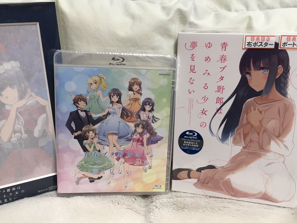 劇場版 青春ブタ野郎はゆめみる少女の夢を見ない を購入した人々 14ページ目 Togetter 劇場版 青春ブタ野郎はゆめみる少女の夢を見ない を購入した人々 14ページ目 Togetter