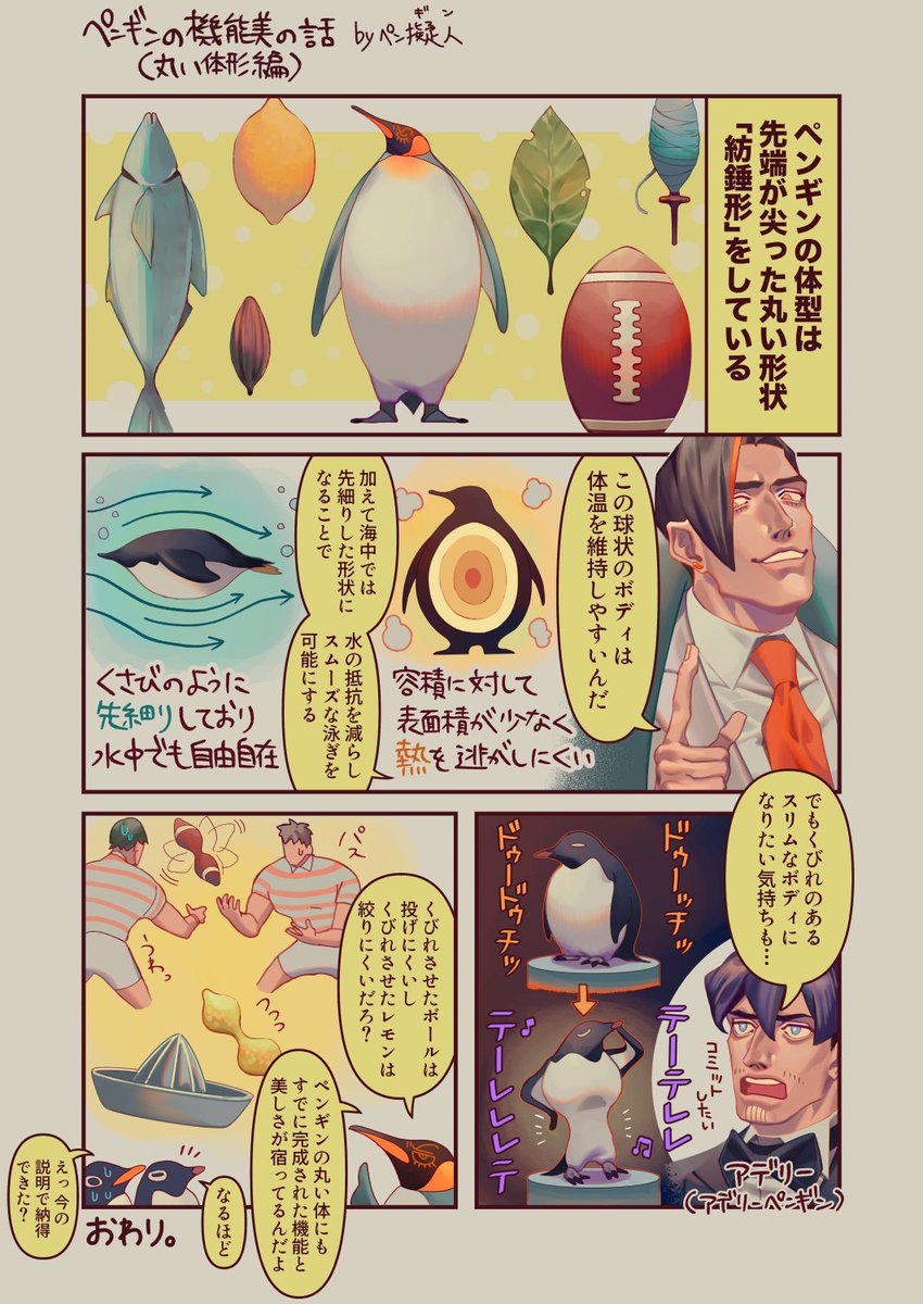 ペンギン擬人化創作
ペンギンの体の機能美の話 