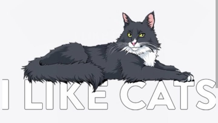 sherlawck's tweet photo. Just made a drawing with @AmeliaRBlaire wearing a new merch. Adore this design so much!😻♥️
#ameliaroseblaire #artistsontwitter #ilovecats https://t.co/p6sLs6IKeY