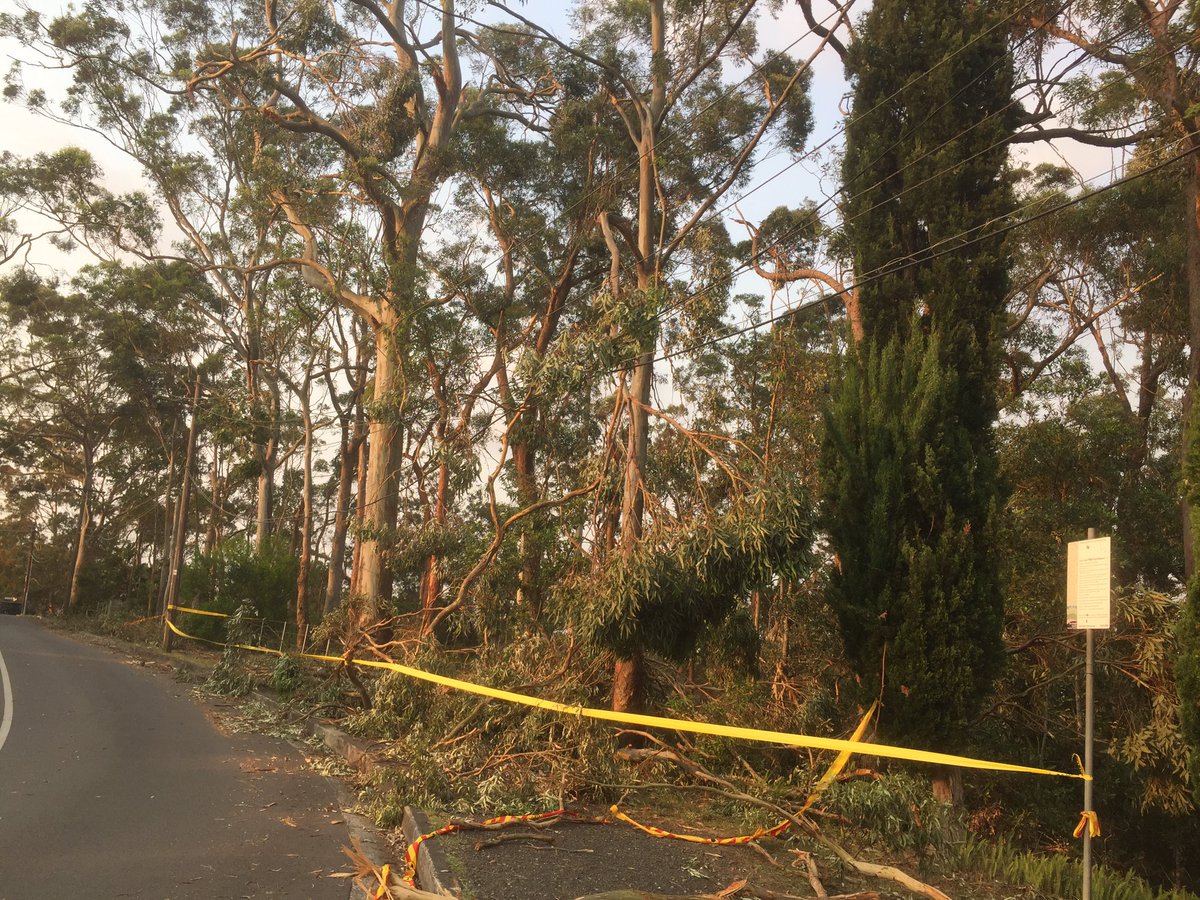 ScoutsFirst's tweet photo. Due to storm damage around the hall Scouts is CANCELLED tomorrow night the 29th of November #sydneystorm https://t.co/1wmJUpj24B