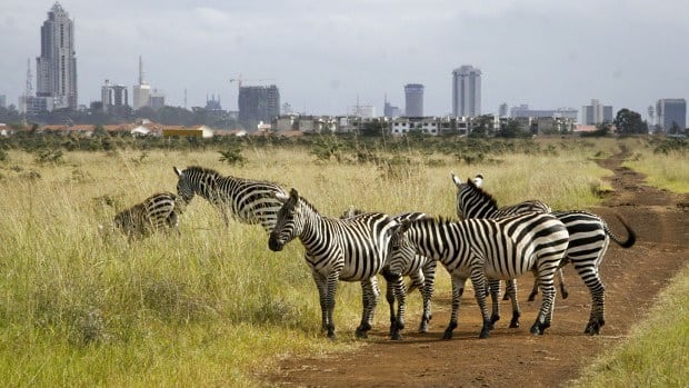 kenyapics's tweet photo. Welcome to the safari capital of the world. Nairobi City. Photos by @UpdatesSafari https://t.co/cc2EjtPwjq