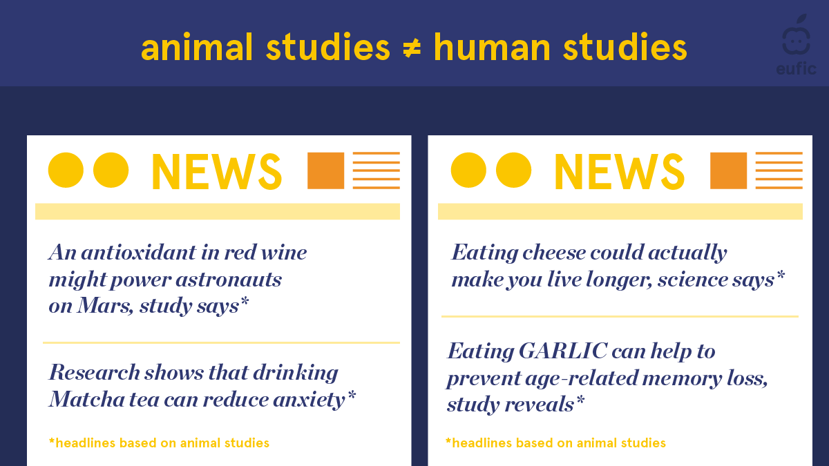 EUFIC's tweet photo. Always read beyond the headlines!

🐁 The results seen in #AnimalStudies don’t always have the same effects in humans. 🧫 Same with isolated cells in the laboratory – they can behave differently than cells in the body. #UnderstandingScience https://t.co/n2KpVDobtT
