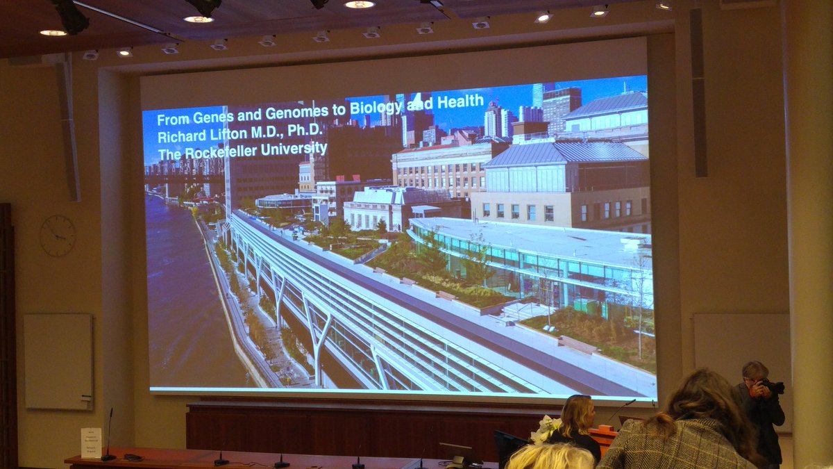 _RaquelVaz_'s tweet photo. Looking forward to this talk! #nicholsonlecture @karolinskainst https://t.co/0j7AQPoOHC