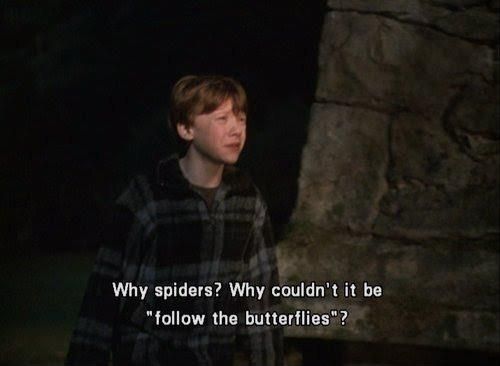 MuggleNet's tweet photo. #PotterQuotes: "Why couldn't it be 'follow the butterflies'?"
- Ron Weasley, "Chamber of Secrets"
#HarryPotter #RonWeasley #followthespiders https://t.co/kuxqeylB2p
